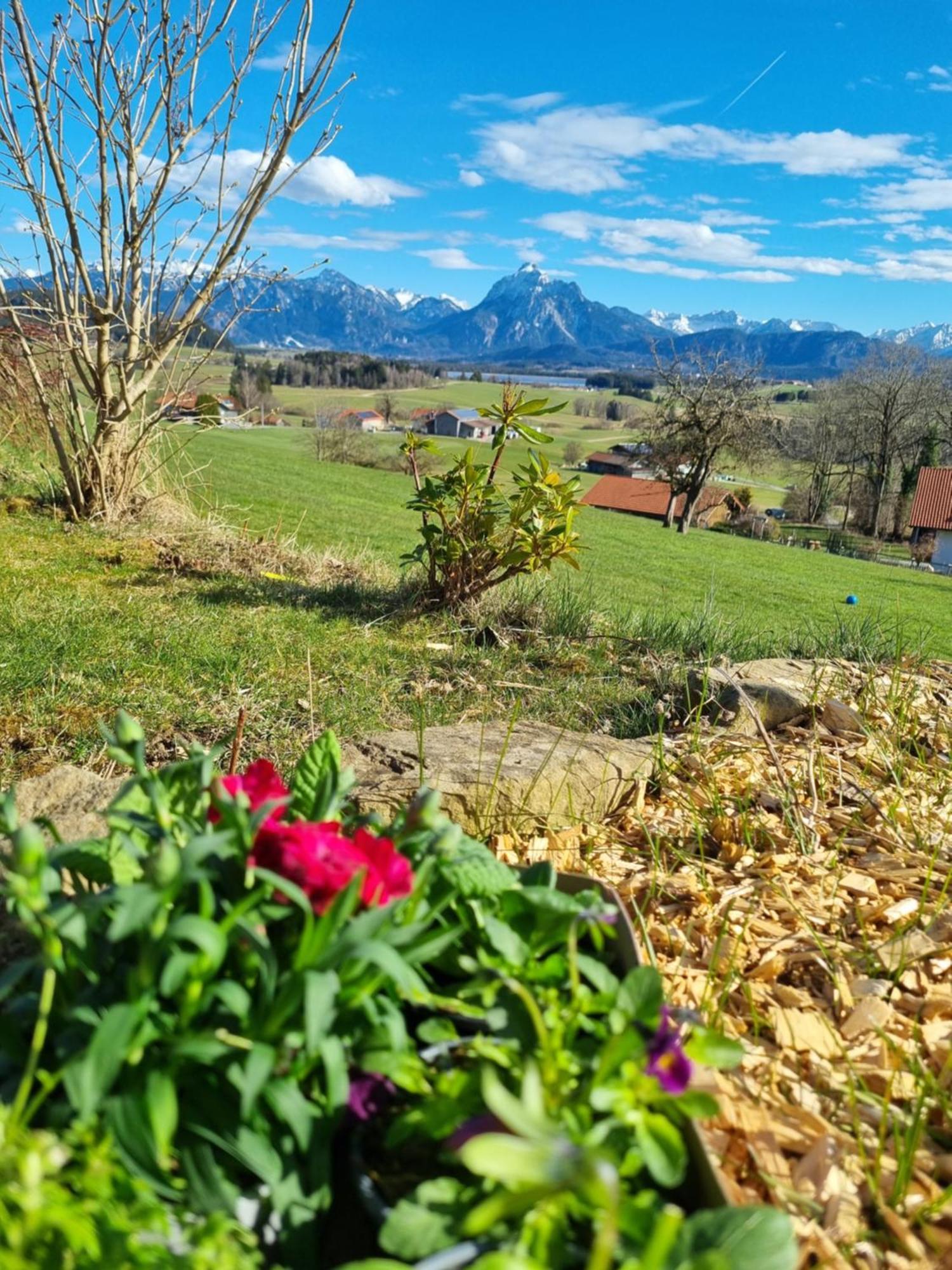 Landhaus Poppler Mit Aufzug Хопферау Экстерьер фото